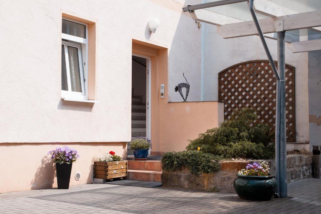 Apartment Dresden Neustadt Exterior photo